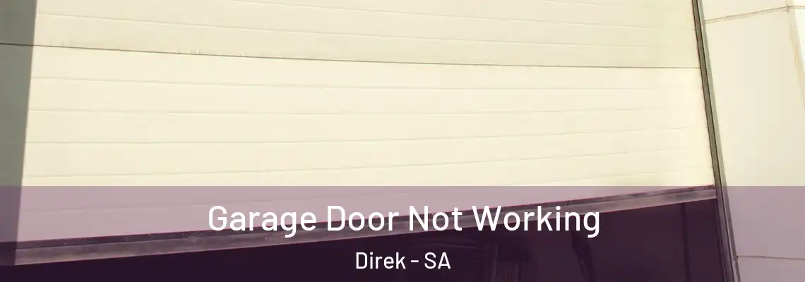  Garage Door Not Working Direk - SA