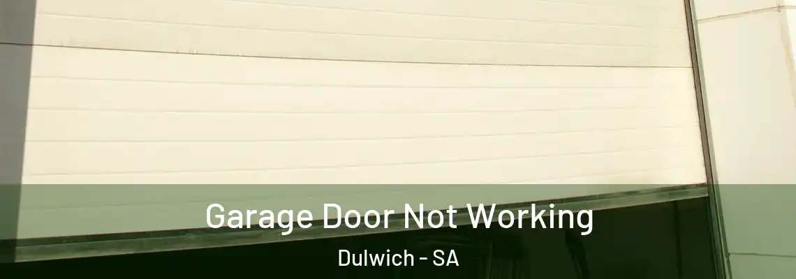  Garage Door Not Working Dulwich - SA