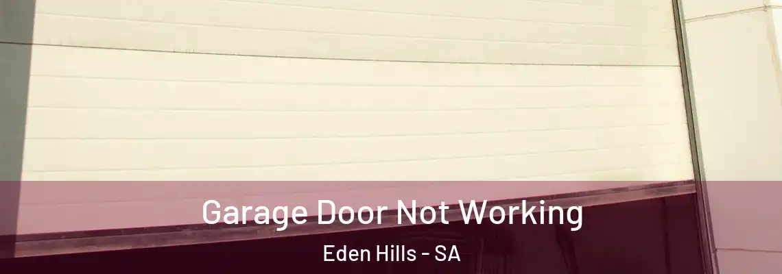 Garage Door Not Working Eden Hills - SA