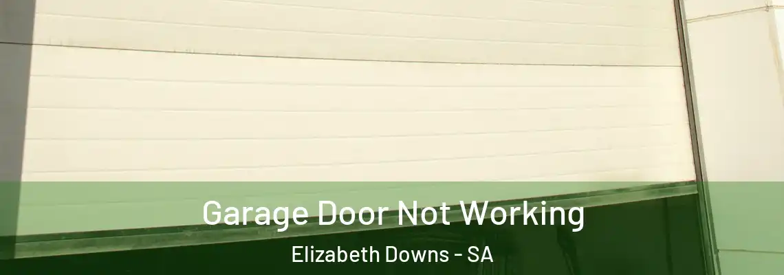  Garage Door Not Working Elizabeth Downs - SA
