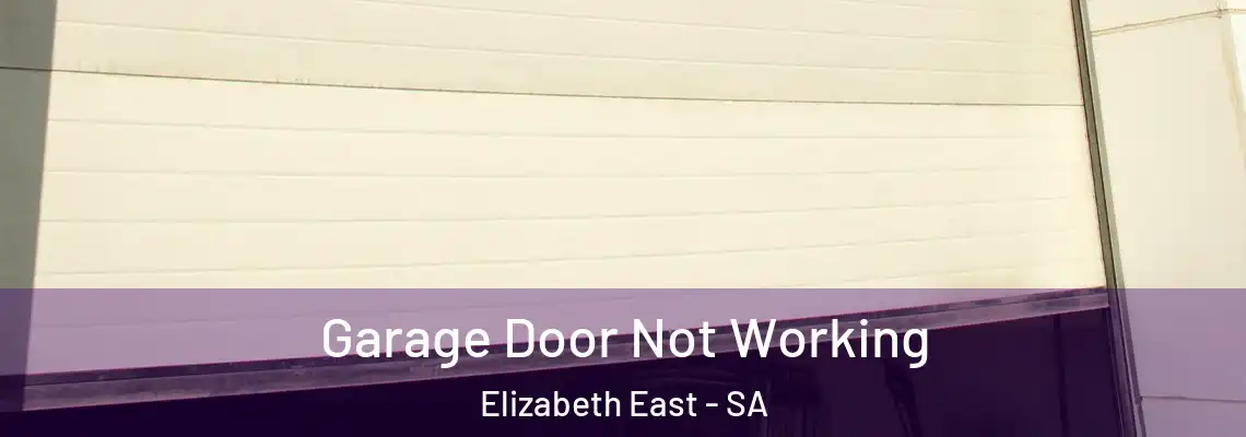Garage Door Not Working Elizabeth East - SA