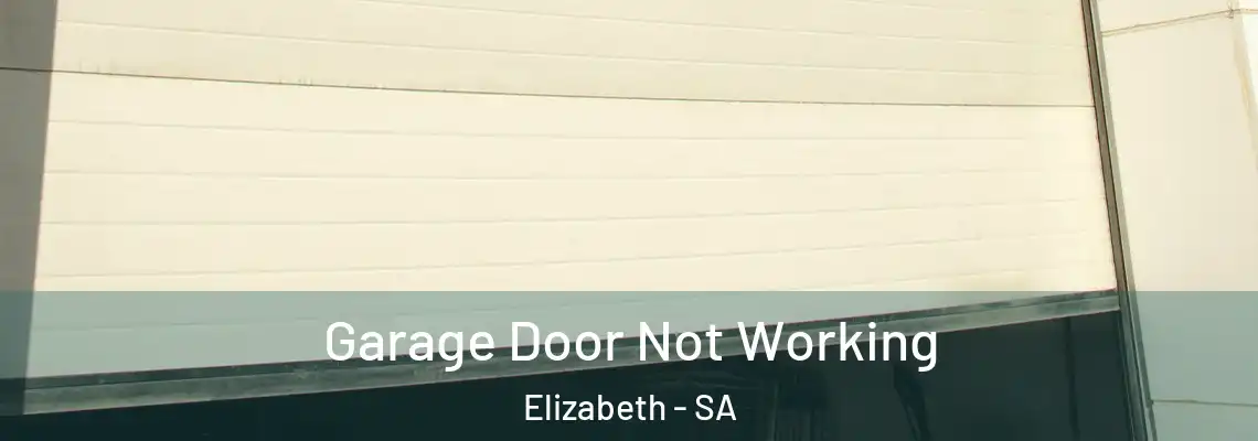 Garage Door Not Working Elizabeth - SA