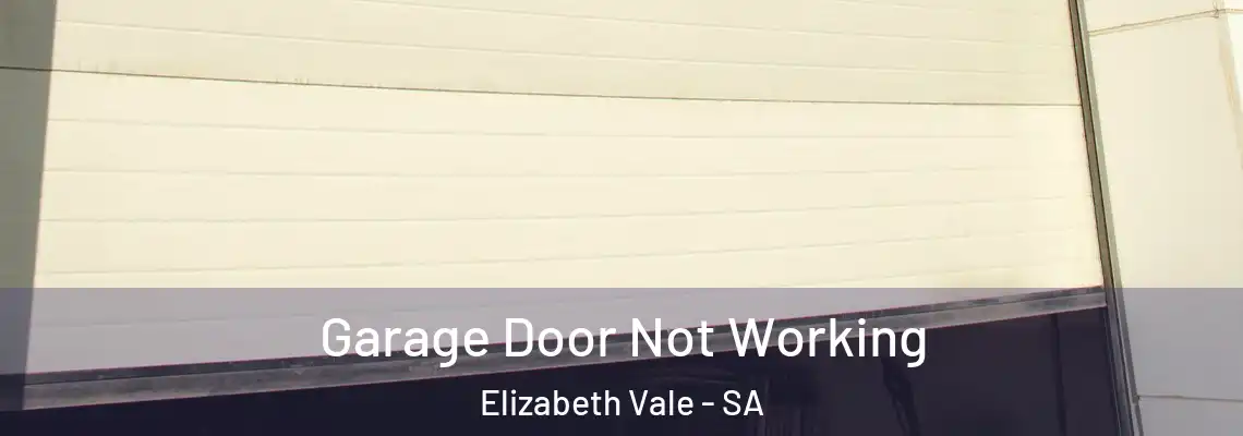  Garage Door Not Working Elizabeth Vale - SA