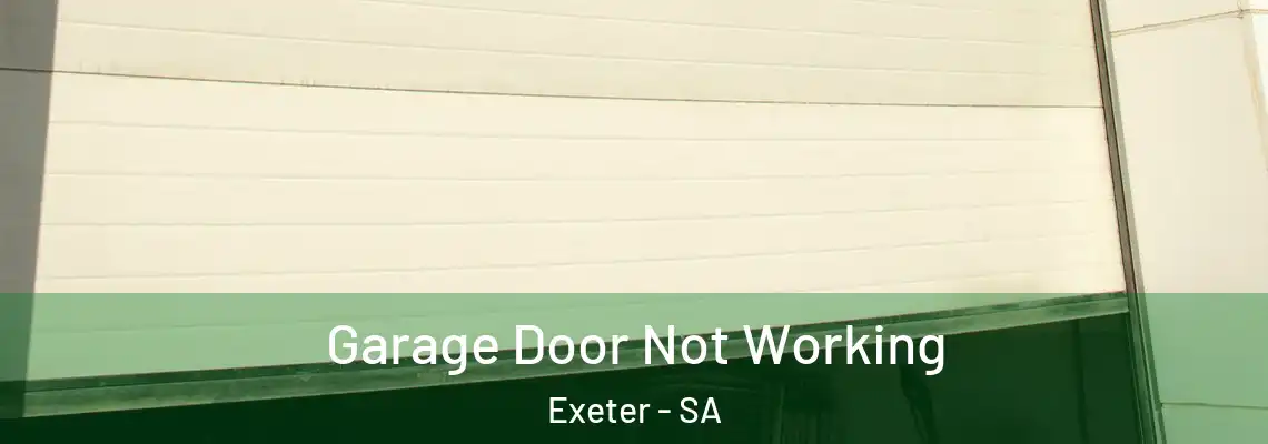 Garage Door Not Working Exeter - SA