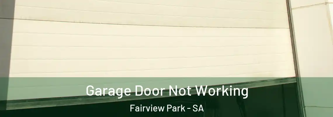 Garage Door Not Working Fairview Park - SA