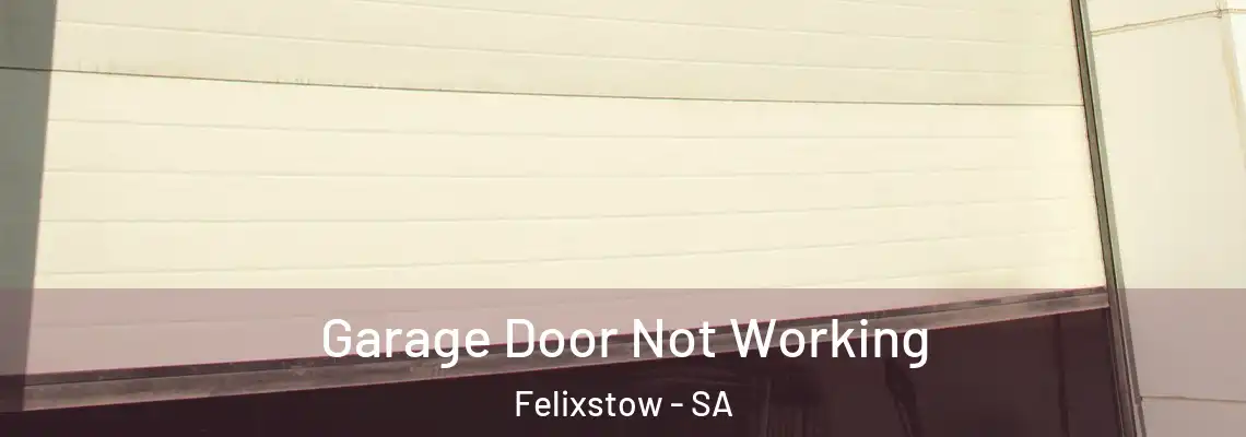 Garage Door Not Working Felixstow - SA