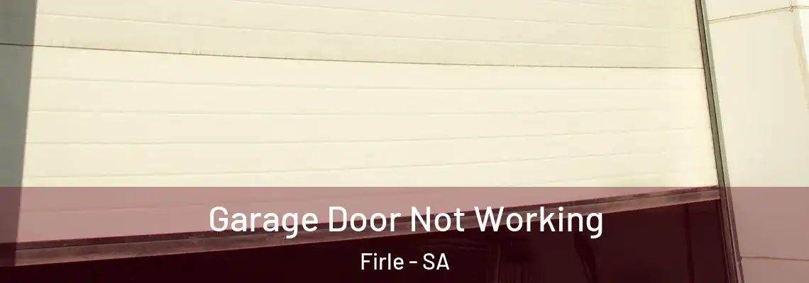 Garage Door Not Working Firle - SA