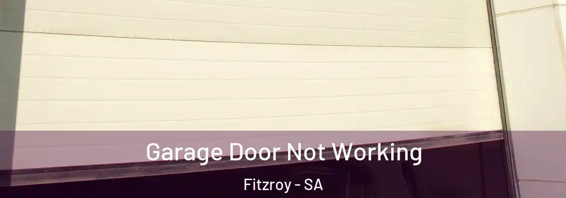 Garage Door Not Working Fitzroy - SA