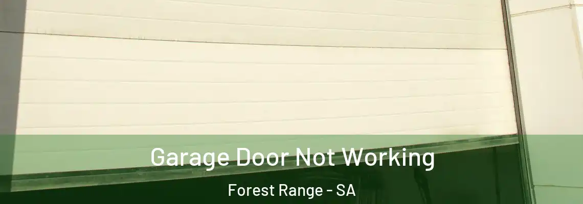 Garage Door Not Working Forest Range - SA