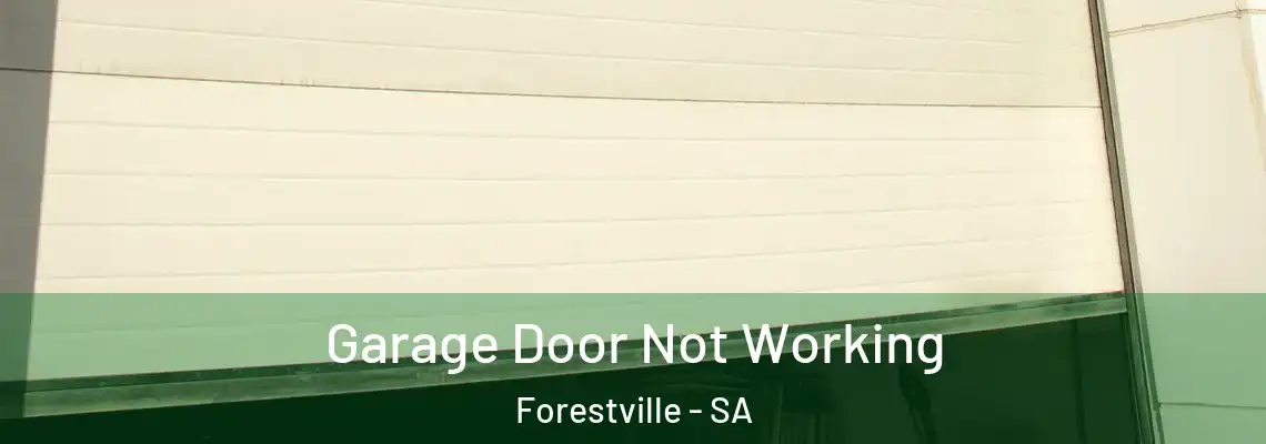 Garage Door Not Working Forestville - SA