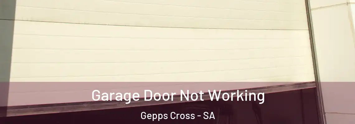 Garage Door Not Working Gepps Cross - SA