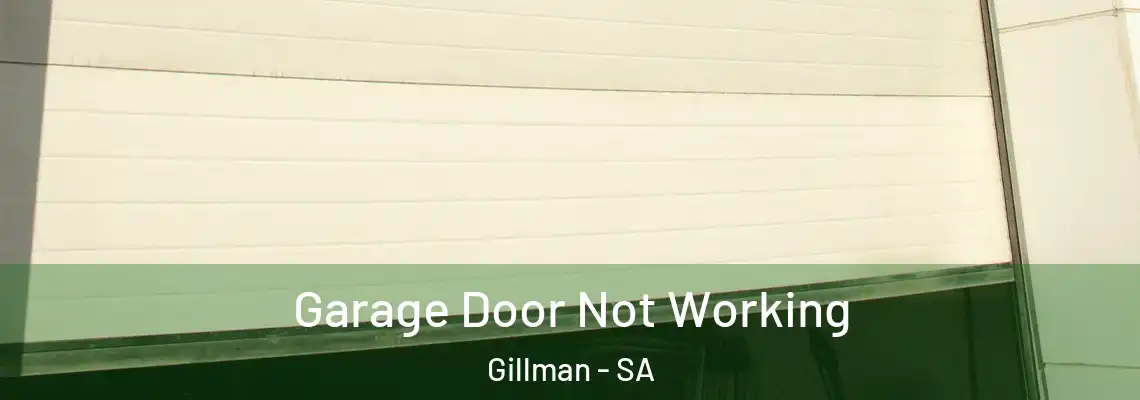 Garage Door Not Working Gillman - SA