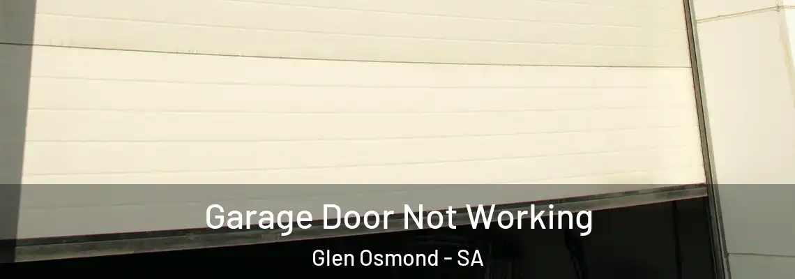 Garage Door Not Working Glen Osmond - SA