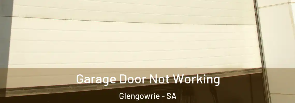 Garage Door Not Working Glengowrie - SA