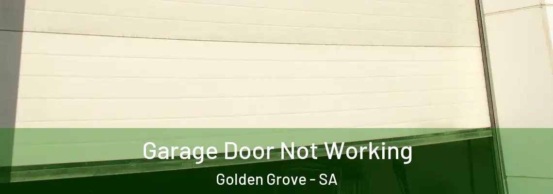  Garage Door Not Working Golden Grove - SA