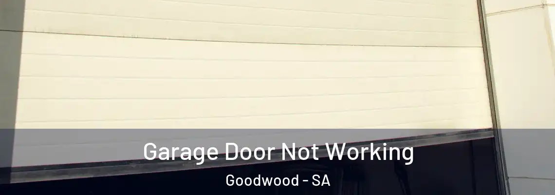  Garage Door Not Working Goodwood - SA