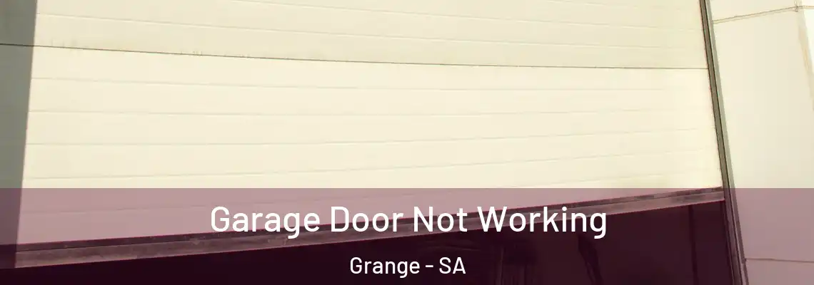 Garage Door Not Working Grange - SA