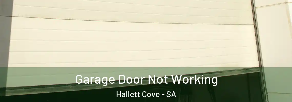  Garage Door Not Working Hallett Cove - SA