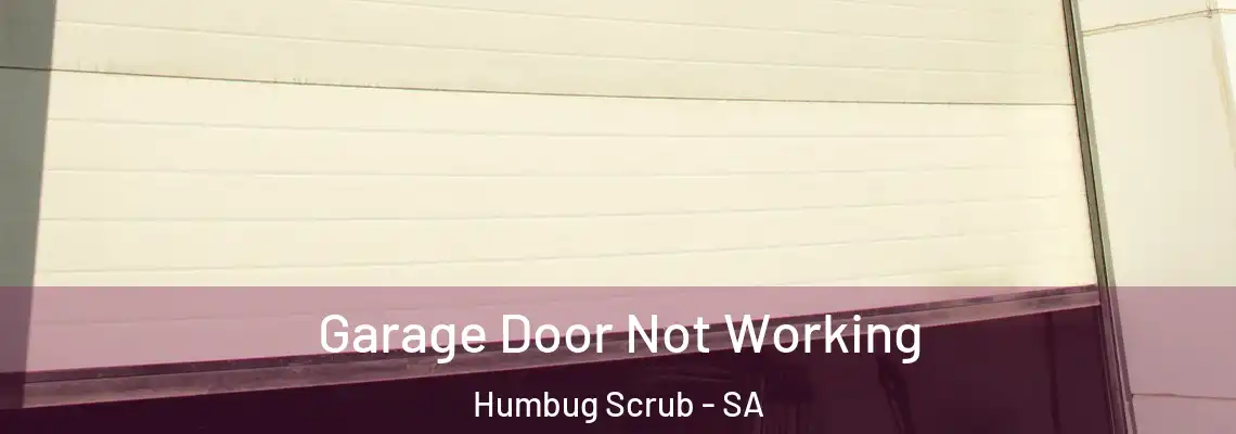 Garage Door Not Working Humbug Scrub - SA