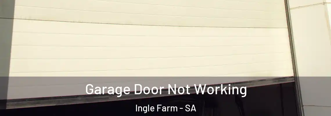 Garage Door Not Working Ingle Farm - SA