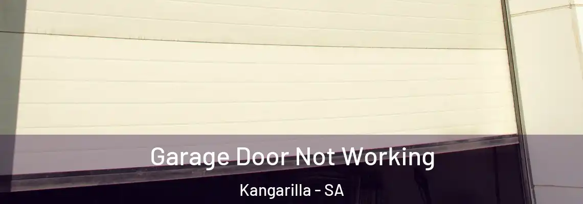  Garage Door Not Working Kangarilla - SA