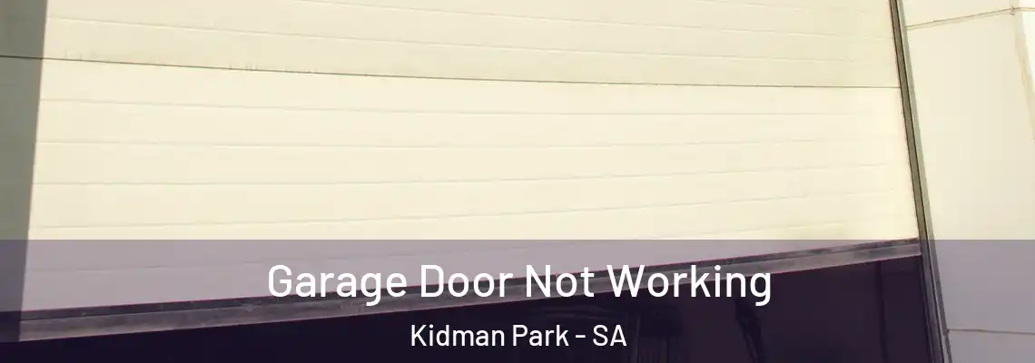 Garage Door Not Working Kidman Park - SA
