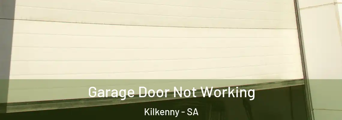 Garage Door Not Working Kilkenny - SA