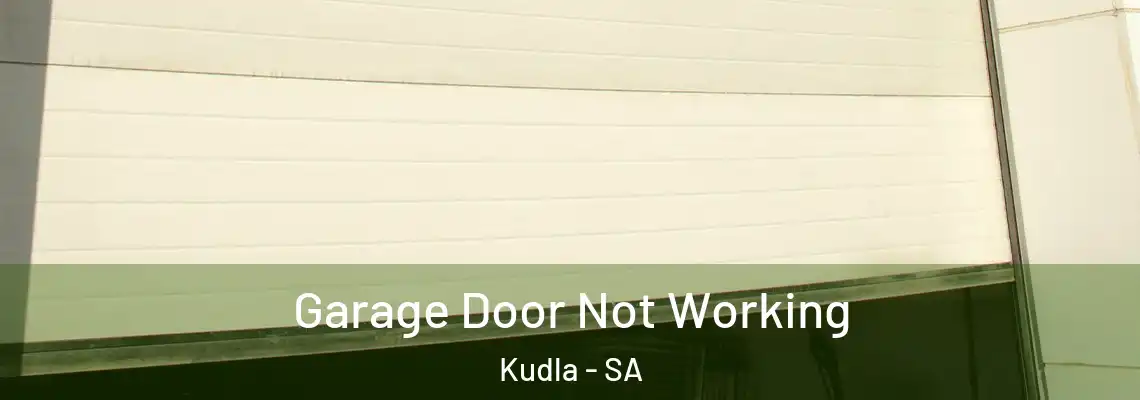 Garage Door Not Working Kudla - SA