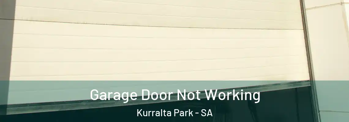 Garage Door Not Working Kurralta Park - SA