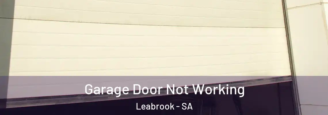 Garage Door Not Working Leabrook - SA