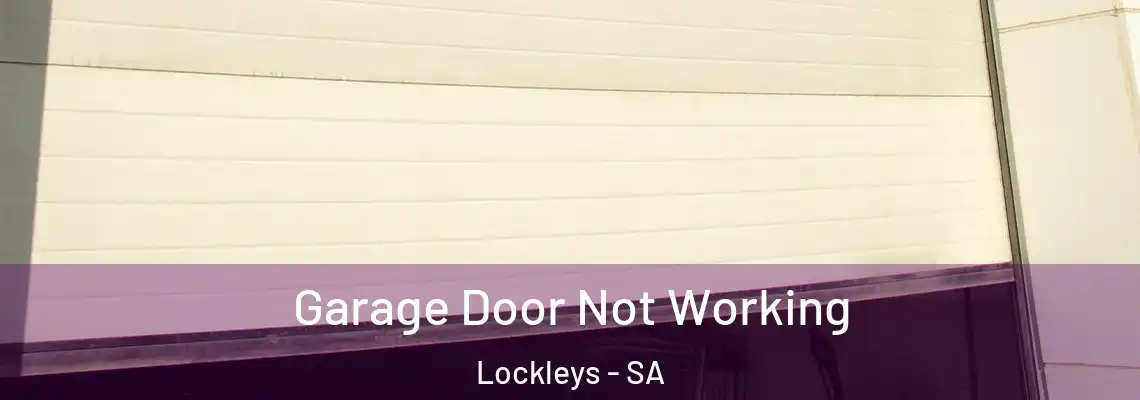 Garage Door Not Working Lockleys - SA