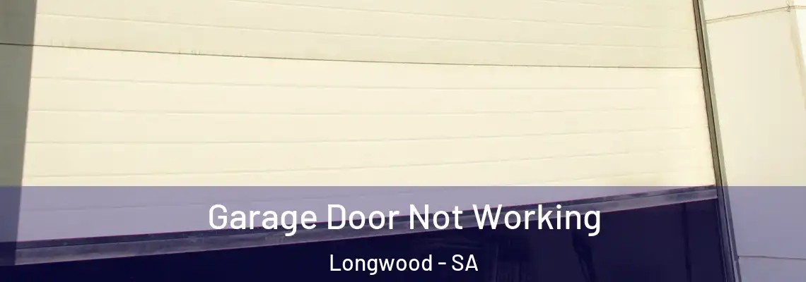  Garage Door Not Working Longwood - SA