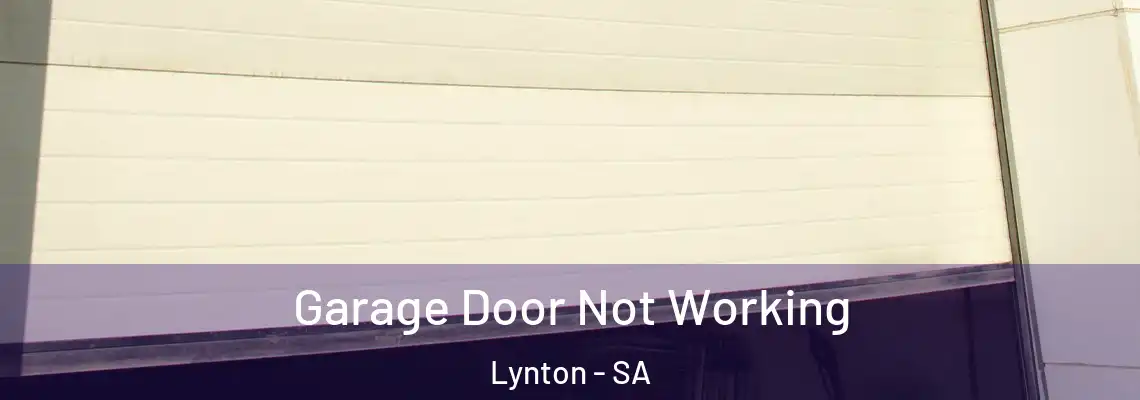 Garage Door Not Working Lynton - SA