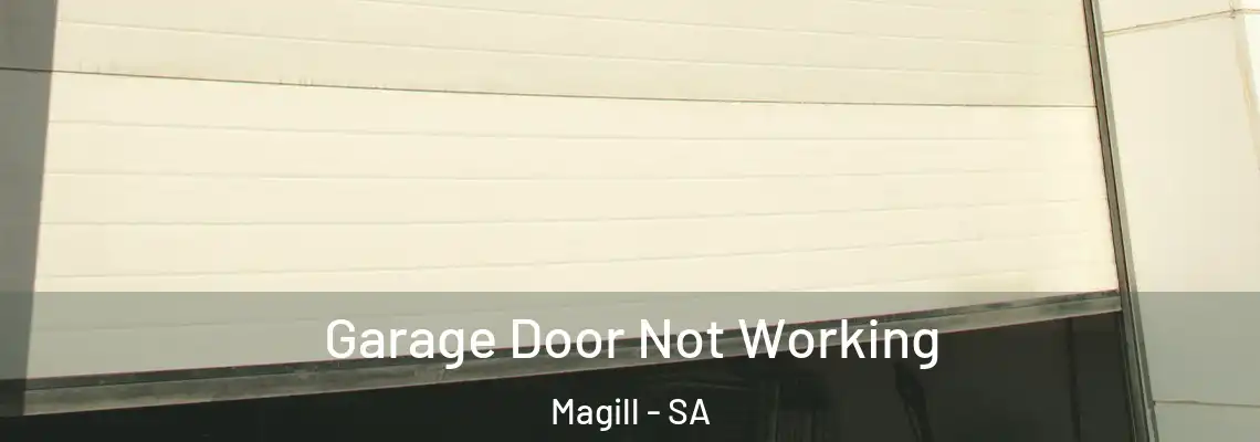 Garage Door Not Working Magill - SA