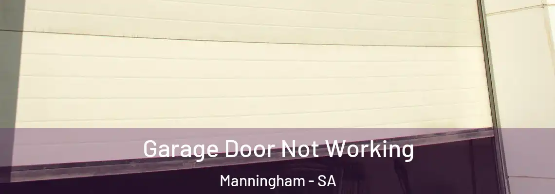 Garage Door Not Working Manningham - SA