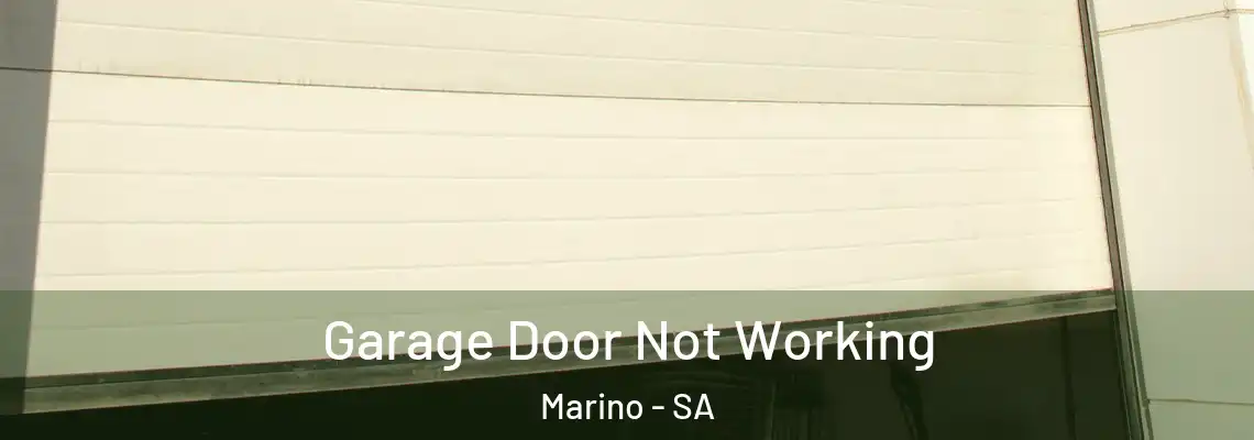 Garage Door Not Working Marino - SA