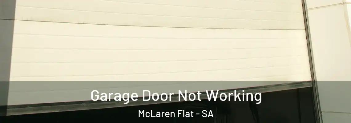 Garage Door Not Working McLaren Flat - SA