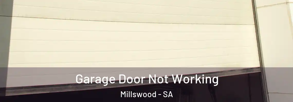 Garage Door Not Working Millswood - SA