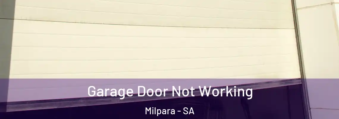 Garage Door Not Working Milpara - SA