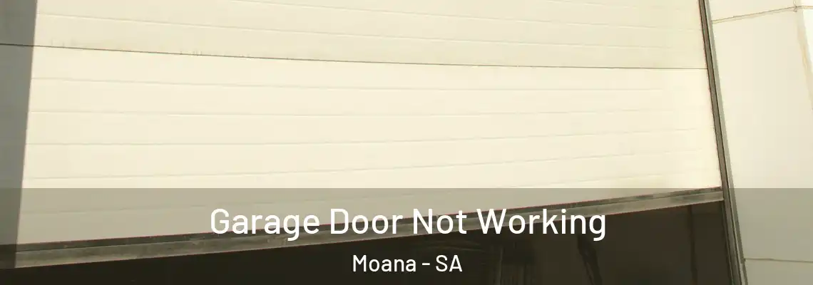 Garage Door Not Working Moana - SA