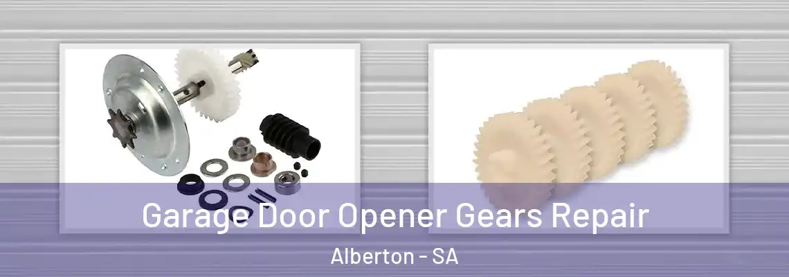  Garage Door Opener Gears Repair Alberton - SA