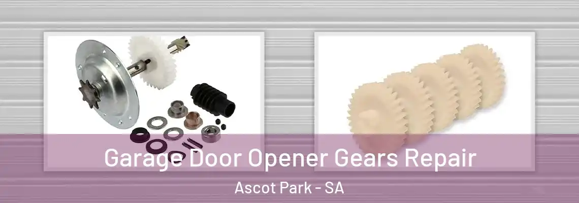 Garage Door Opener Gears Repair Ascot Park - SA