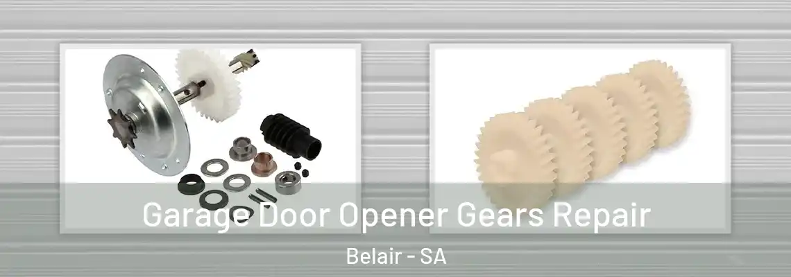  Garage Door Opener Gears Repair Belair - SA