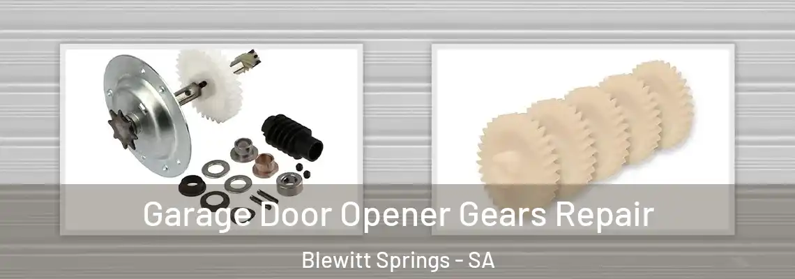  Garage Door Opener Gears Repair Blewitt Springs - SA