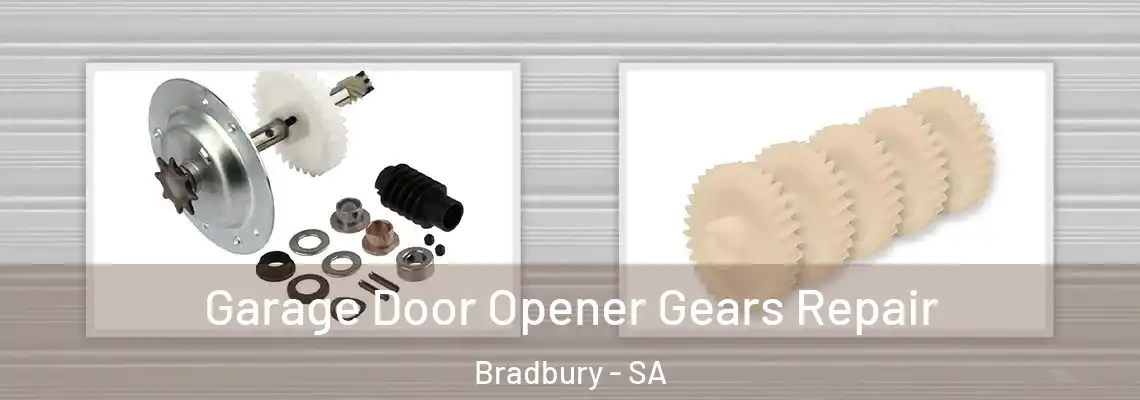 Garage Door Opener Gears Repair Bradbury - SA