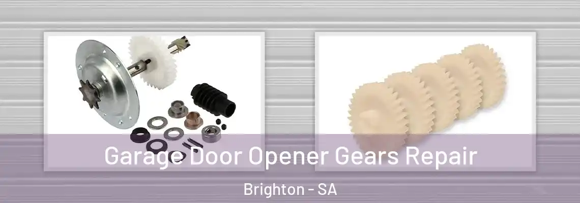 Garage Door Opener Gears Repair Brighton - SA