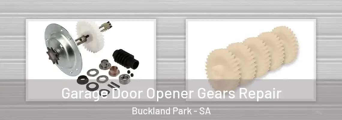 Garage Door Opener Gears Repair Buckland Park - SA
