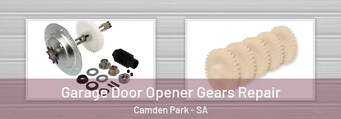 Garage Door Opener Gears Repair Camden Park - SA