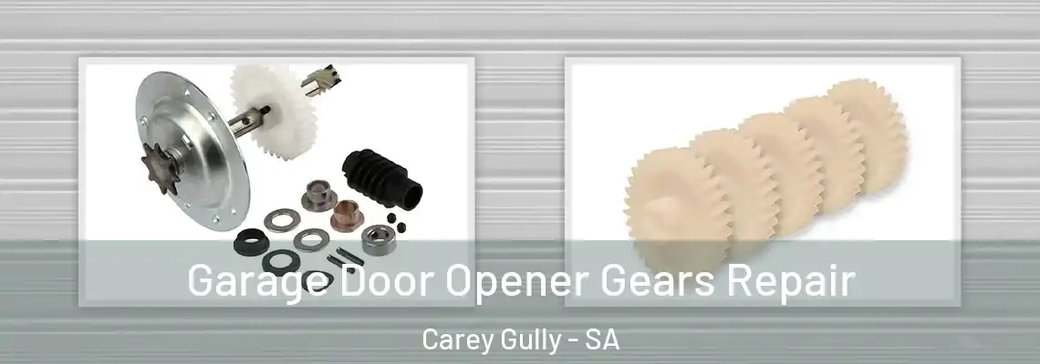 Garage Door Opener Gears Repair Carey Gully - SA