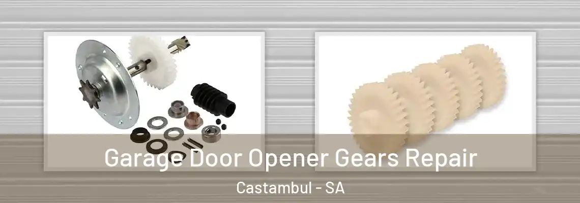  Garage Door Opener Gears Repair Castambul - SA